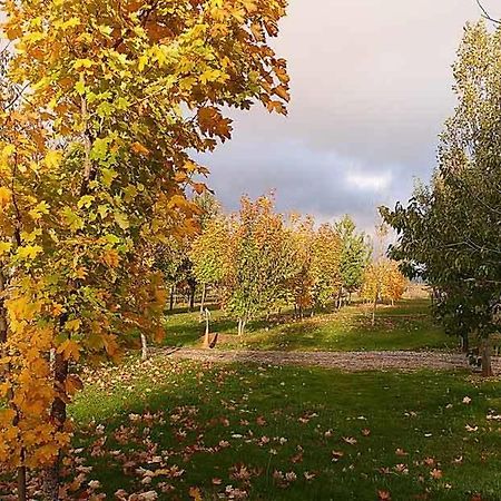 Camping Ain Jaca Exteriér fotografie