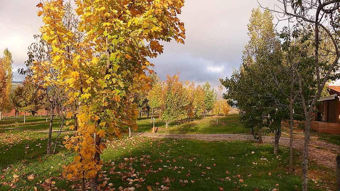 Camping Ain Jaca Exteriér fotografie