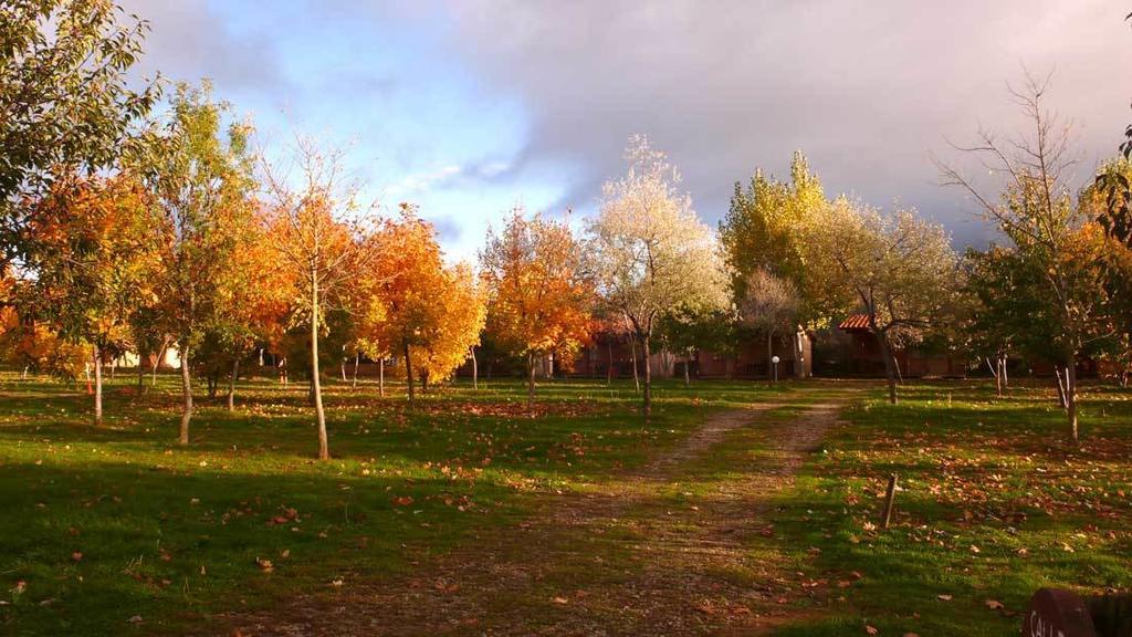 Camping Ain Jaca Exteriér fotografie